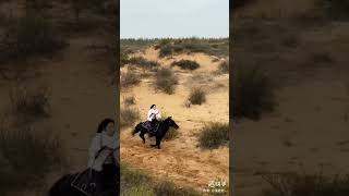 horse Freedom lover ♥️ Girl horse riding [upl. by Sydney184]