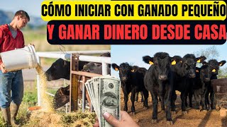 quot🐄💼 Cómo Iniciar con Ganado Pequeño y Ganar Dinero Desde Casa 💰✨ [upl. by Adest]