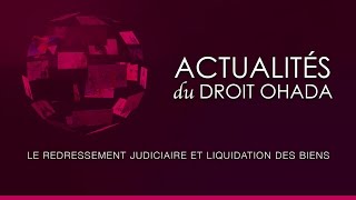 Le redressement judiciaire et la liquidation des biens [upl. by Tait]