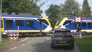 Spoorwegovergang Ermelo  Dutch railroad crossing [upl. by Jacquie269]