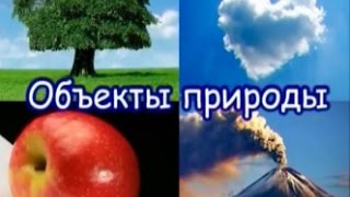 ЖИВАЯ И НЕЖИВАЯ ПРИРОДА  объекты и явления познавательное для детей [upl. by Elroy]