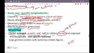 L1 patho Nonneoplastic LN enlargement HPS 43 [upl. by Novy]