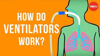 How do ventilators work  Alex Gendler [upl. by Nehte]