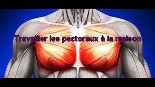 Travailler ses pectoraux sans matériel et rapidement 1 [upl. by Tengler]