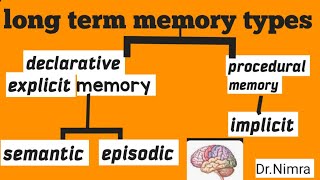 types of long term memory declarationprocedural in psychologyby Dr Nimra [upl. by Eloci]