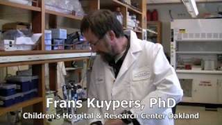 Childrens Hospital Oakland  Research Institutes Placenta Stem Cell Finding [upl. by Atelokin595]