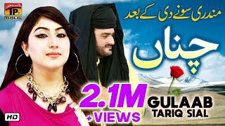 Gulaab  Channa  Tariq Sial  Latest Punjabi And Saraiki Song 2019 [upl. by Howland]