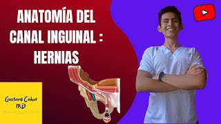 HERNIA INGUINAL DIRECTA E INDIRECTA ANATOMÍA 2D [upl. by Wachter]