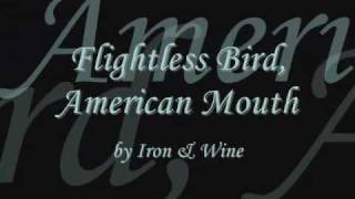 Flightless Bird American Mouth Twilight  lyrics [upl. by Enylhsa467]