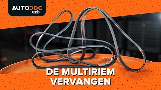 Hoe een mulitiriem te vervangen HANDLEIDING AUTODOC [upl. by Negaem]