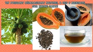 UN PUISSANT DÉPARASITANT NATUREL ET CES 5 BIENFAITS SUR NOTRE SANTÉ [upl. by Curt]