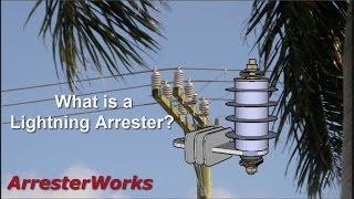 What is a Lightning Arrester [upl. by Hayimas]