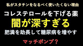 【闇が深すぎる】私がスタチンをなるべく使わない理由 [upl. by Thaddaus934]