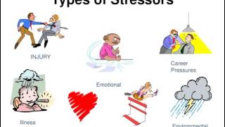 Types of stressors [upl. by Hartley]