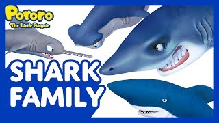 Meet Pororo and Friends Ep11 Shark Family  Meet our clumsy sharks  Pororo the Little Penguin [upl. by Camila]