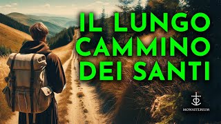 Il cammino della salvezza è facile o difficile [upl. by Lucchesi597]