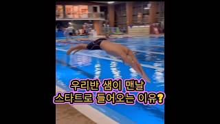 새벽반 선생님 특징 쇼츠 shorts 수영 swimming 수영강습 수영초보 수영강사 [upl. by Egarton78]