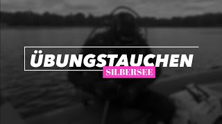 Übungstauchen der DLRG Langenhagen am Silbersee [upl. by Suixela857]