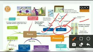 Force and Pressure class 8 Science Mind map Force class 8 Science [upl. by Anilatac]