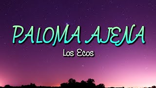 Paloma Ajena  Los Ecos Letra [upl. by Attelrahc]