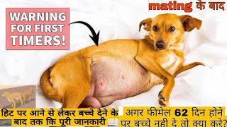 Female dogs Heat pr aane se lekr Bachhe dene tak ki puri Jankari 🐶👍 [upl. by Eveneg]