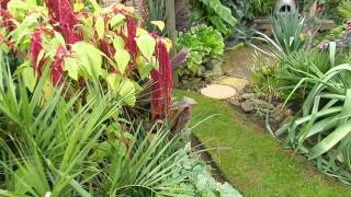 Springys Exotic Garden Open Day 6th September 2014 [upl. by Sacci413]