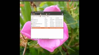 How to create and run the Hirens BootCD 152 in Ubuntu 1210 Linux [upl. by Ahseneuq903]