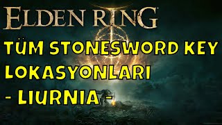 Elden Ring  Liurnia Of The Lake Stonesword Key Lokasyonları STONESWORD KEY LOKASYONLARI [upl. by Augustin]