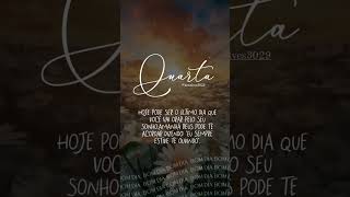 bomdia gratificante music frases mensagem grata gratidao [upl. by Sheilah]