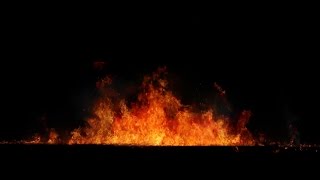 FIREampFLAME EFFECT  Fire Flame Stock Footage Video [upl. by Nappie]