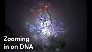 ICR Researchers use CryoElectron Microscopy to zoom in on DNA code being read in cells [upl. by Vachill]