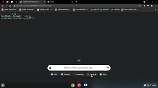 How to fix linux for chromebook [upl. by Anerys]