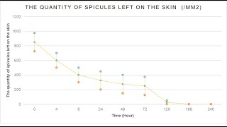 Where sponge spicules go after entering into skin [upl. by Ardnassela256]