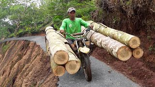 Extreme OffRoad Bikes Moving Tons of Logs in Mountain [upl. by Fabrianna]