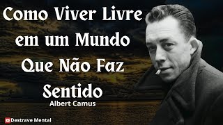 Como Viver Livre em um Mundo Que Não Faz Sentido  Albert Camus [upl. by Whittemore955]