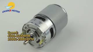 775895 DC motor DC 12V 24V available come with ball bearings [upl. by Hinze545]