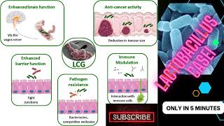 lactobacillus microbiology lecture lactobacillus casei Easy Microbiology [upl. by Revlys]