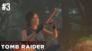 【Shadow of the Tomb Raider】プロサバイバー3 [upl. by Bo]