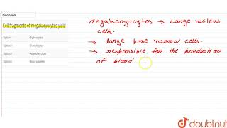 Cell fragments of megakaryocytes yield [upl. by Ange182]