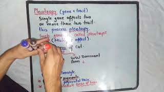 Pleiotropy Genetics  Class 12 Biology [upl. by Wenonah865]