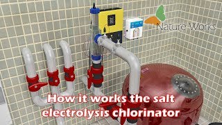 How it works the salt electrolysis chlorinator [upl. by Tunk264]