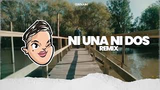 NI UNA NI DOS REMIX Tik Tok DJ Lauuh  BM [upl. by Ccasi657]