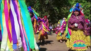 Matachines en Guapalayna [upl. by Daniel]