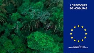 Los Bosques de Honduras [upl. by Connor]