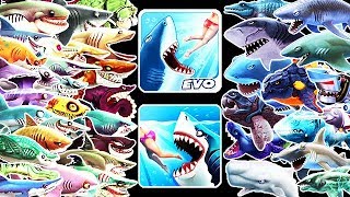 Hungry Shark Evolution vs World  All 41 Sharks Unlocked Buzz [upl. by Ellemrac414]