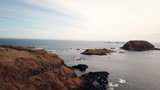 The Nobbies at Phillips Island  Drone Footage 4K [upl. by Egiap]