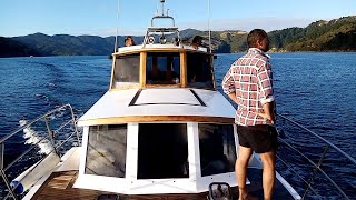 Exploring Pelorus Sound and DUrville Island [upl. by Anyak]