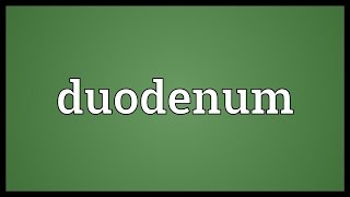 Duodenum Meaning [upl. by Cherilynn]