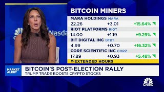 Bitcoin tops 82000 as crypto euphoria over Trump win shows no sign of waning [upl. by Richmal]