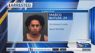 Man arrested for allegedly abandoning dog in desert [upl. by Huskamp]